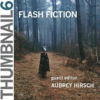 Thumbnail 6: Flash Fiction: Thumbnail Magazine