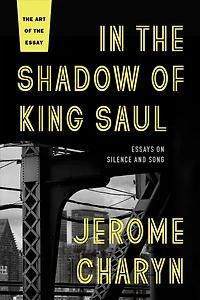 the Shadow of King Saul: Essays on Silence and Song