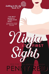 Ninja At First Sight: A Love Romance