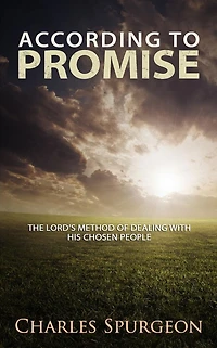 According to Promise