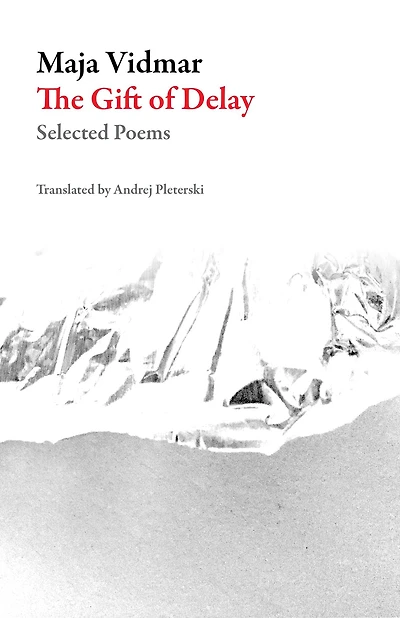 The Gift of Delay: Selected Poems