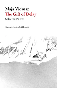 The Gift of Delay: Selected Poems