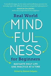 Real World Mindfulness for Beginners: Navigate Daily Life One Practice at a Time