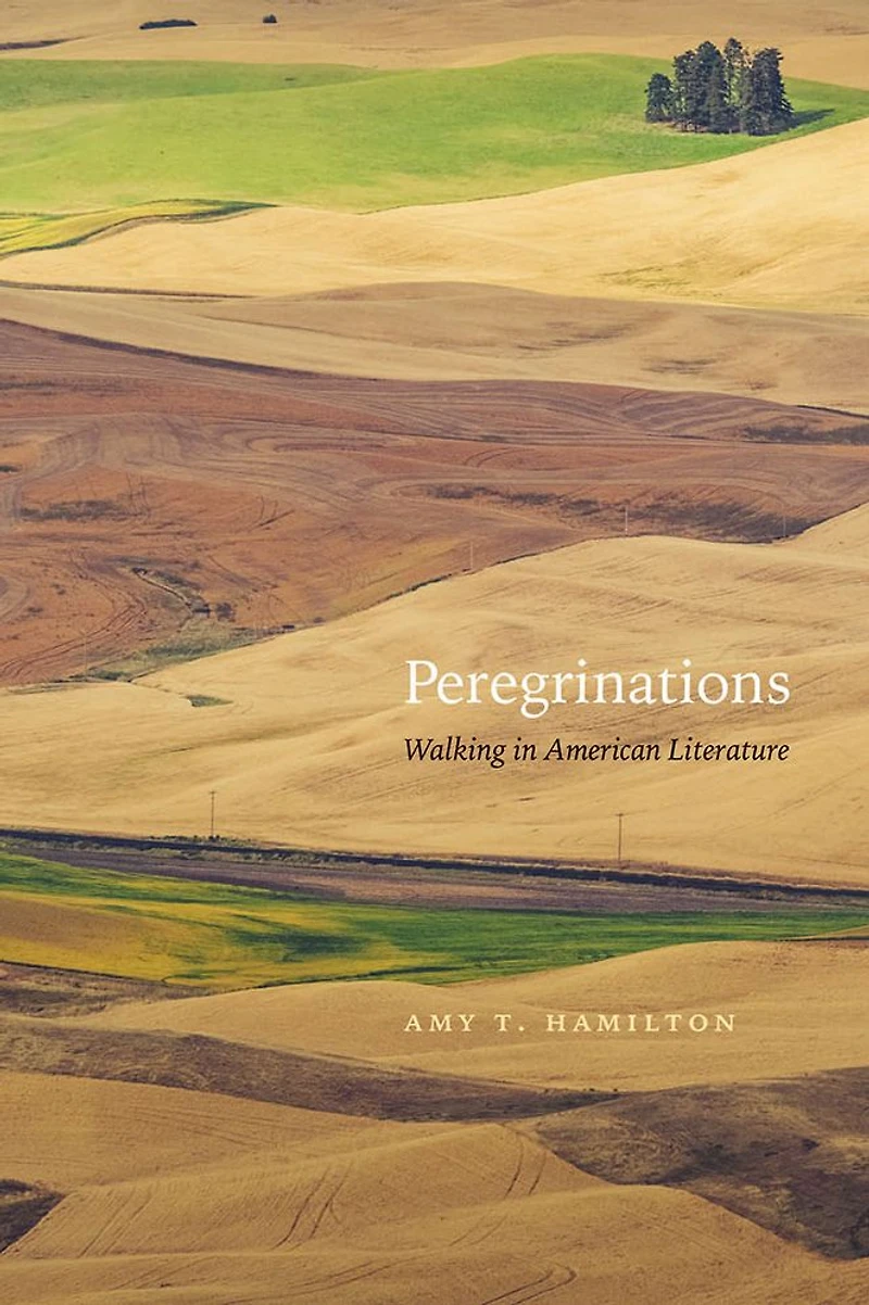 Peregrinations: Walking American Literature