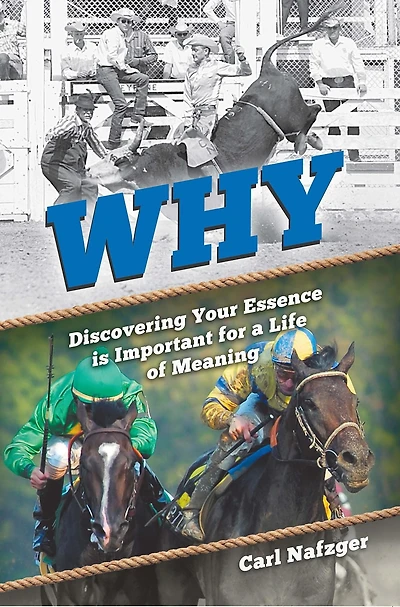 Why: Discovering Your Essence Is Important for a Life of Meaning