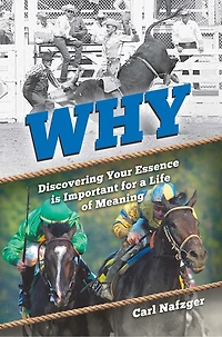 Why: Discovering Your Essence Is Important for a Life of Meaning