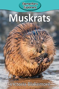 Muskrats