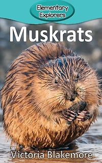 Muskrats