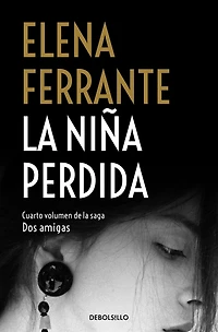 La niña perdida (Dos amigas 4) / the Story of Lost Child