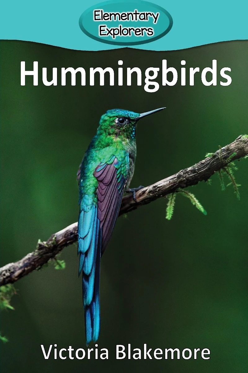 Hummingbirds