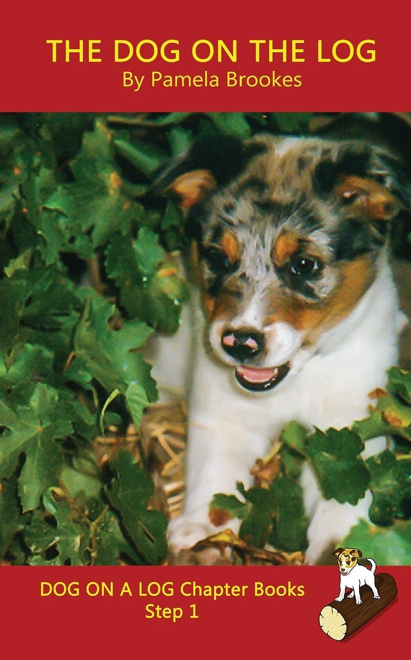 The Dog On Log Chapter Book: Sound-Out Phonics Books Help Developing Readers, including Students with Dyslexia, Learn to Read (Step 1 a Systematic Series of Decodable Books)