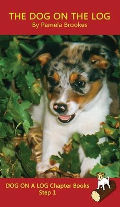 The Dog On Log Chapter Book: Sound-Out Phonics Books Help Developing Readers, including Students with Dyslexia, Learn to Read (Step 1 a Systematic Series of Decodable Books)