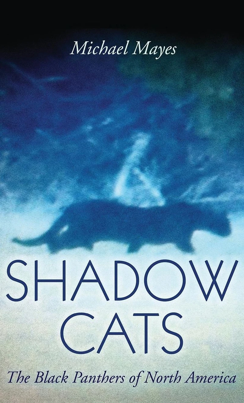Shadow Cats: The Black Panthers of North America