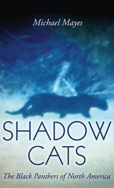 Shadow Cats: The Black Panthers of North America
