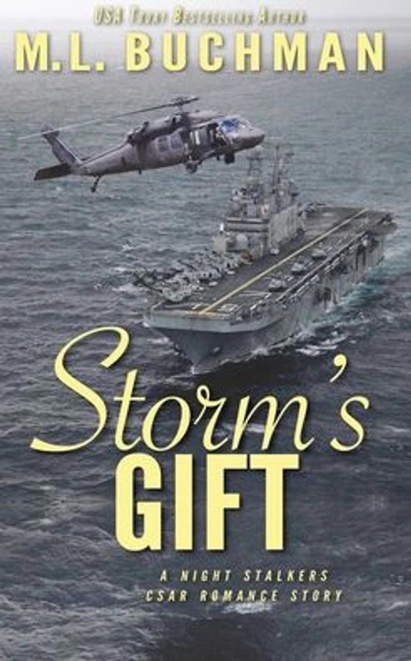 Storm's Gift: a military romantic suspense story (The Night Stalkers CSAR, #9)
