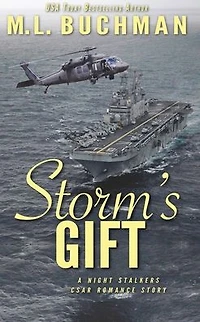 Storm's Gift: a military romantic suspense story (The Night Stalkers CSAR, #9)