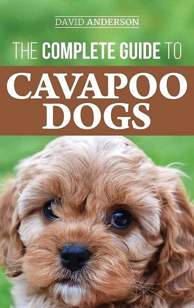 The Complete Guide to Cavapoo Dogs: Everything you need know successfully raise and train your new puppy