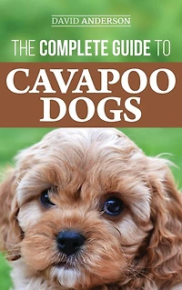 The Complete Guide to Cavapoo Dogs: Everything you need know successfully raise and train your new puppy