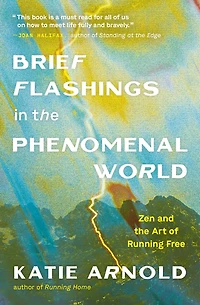Brief Flashings the Phenomenal World
