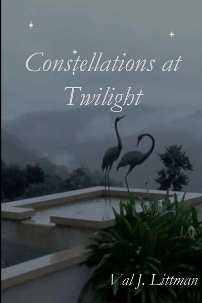 Constellations at Twilight