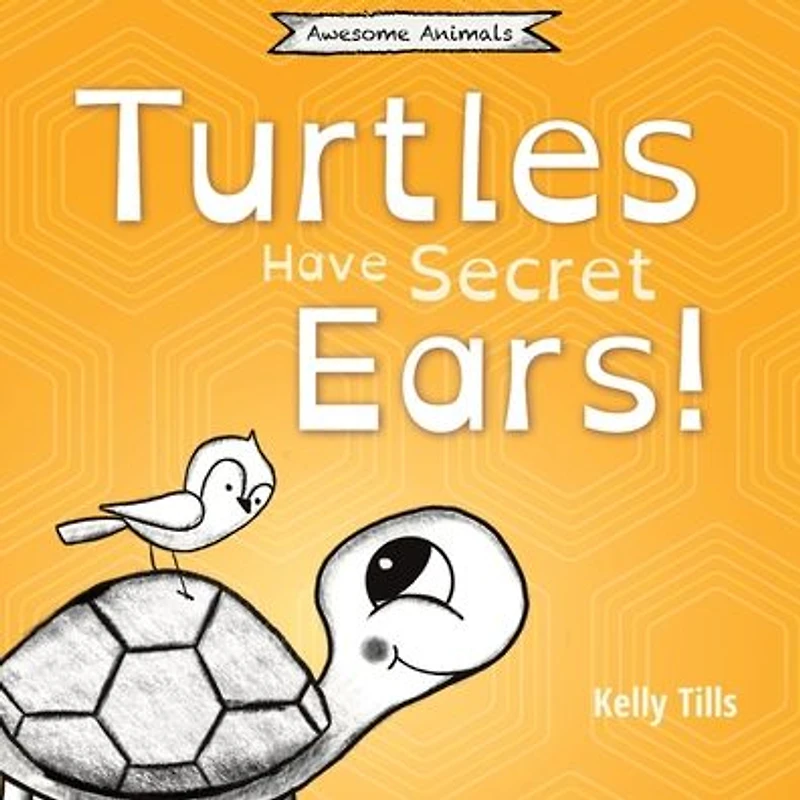 turtles Have Secret Ears: A light-hearted book on the different types of sounds can hear