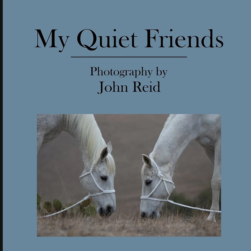 My Quiet Friends