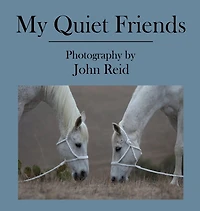 My Quiet Friends