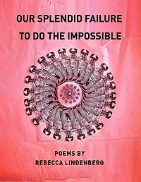 Our Splendid Failure to Do the Impossible
