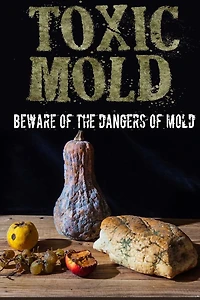 Toxic Mold: Beware Of The Dangers Of Mold