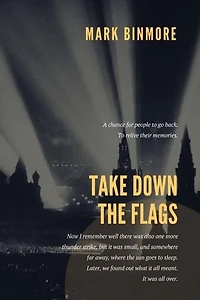 Take Down The Flags: Remastered Shimmer