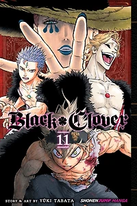 Black Clover, Vol. 11