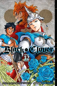 Black Clover, Vol. 12