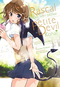 Rascal Does Not Dream of Petite Devil Kohai (light novel)