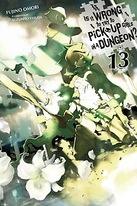 Is It Wrong to Try Pick Up Girls a Dungeon?, Vol. 13
