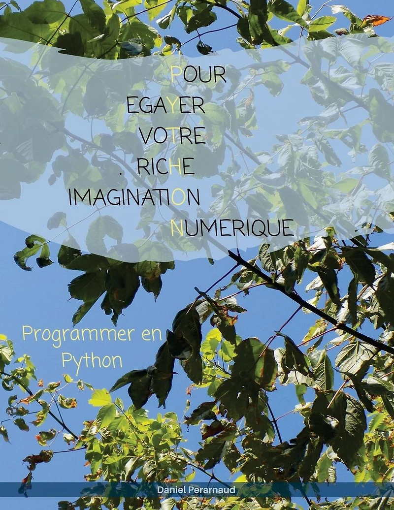 Pour egayer votre riche imagination numerique: Informatique et création numérique