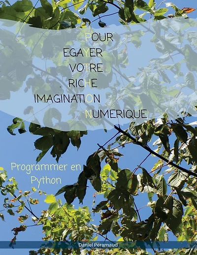 Pour egayer votre riche imagination numerique: Informatique et création numérique