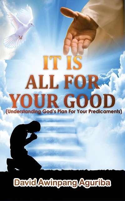 It Is All For Your Good: (Understanding God's Plan For Your Predicaments)
