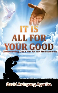 It Is All For Your Good: (Understanding God's Plan For Your Predicaments)