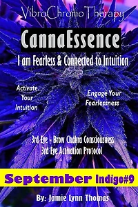VibroChromoTherapy Indigo: Activate Your Fearless Intuition