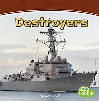 Destroyers: A 4D Book