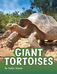 Giant Tortoises
