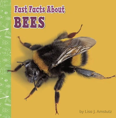 Fast Facts About Bees