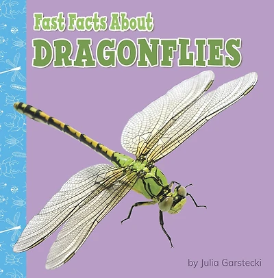 Fast Facts About Dragonflies