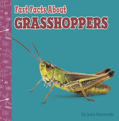 Fast Facts About Grasshoppers