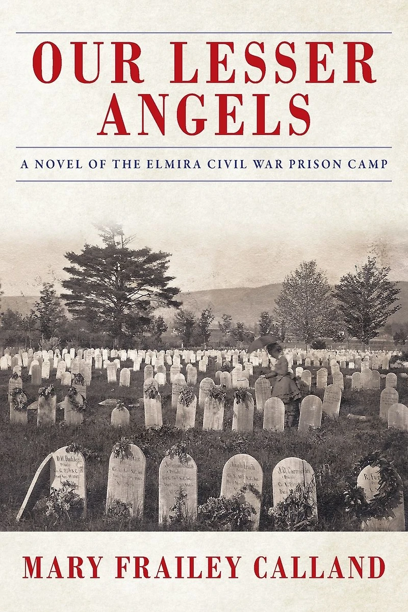Our Lesser Angels: A Novel of the Elmira Civil War Prison Camp