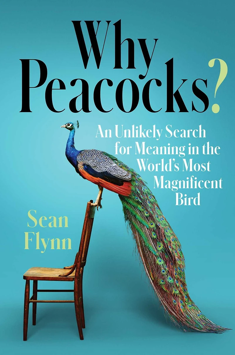 Why Peacocks?: An Unlikely Search for Meaning the World's Most Magnificent Bird