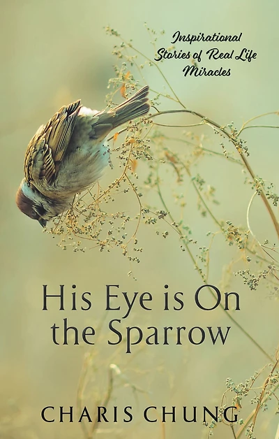 His Eye Is on the Sparrow: Inspirational Stories of Real Life Miracles
