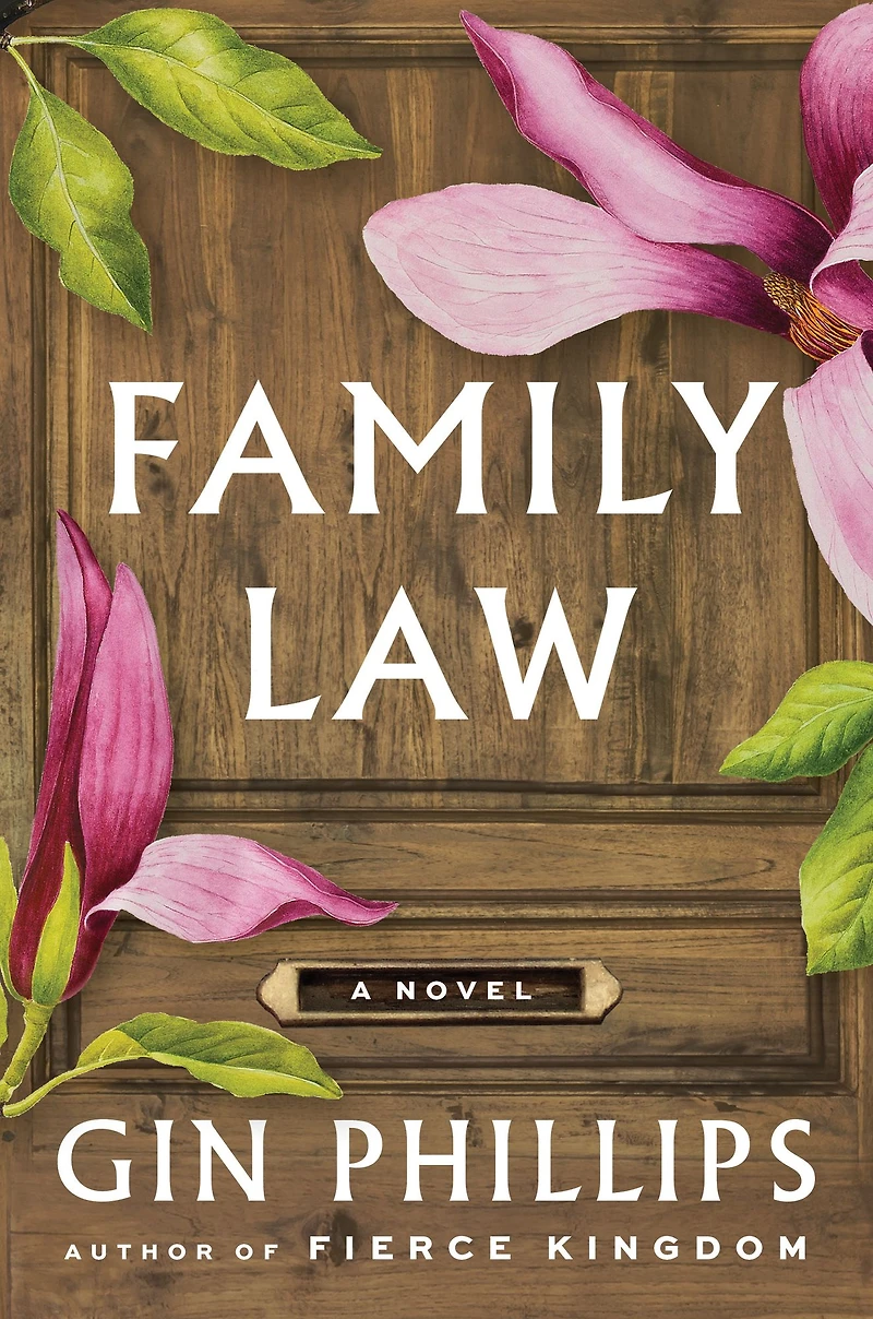 Family Law: A Novel