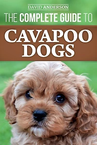 The Complete Guide to Cavapoo Dogs: Everything you need know successfully raise and train your new puppy