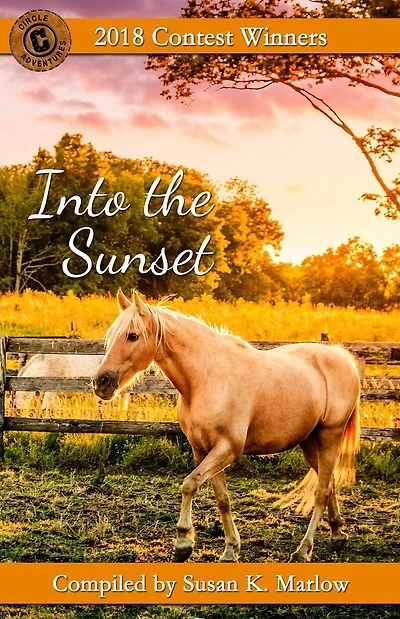 Into the Sunset: 2018 Contest Winners